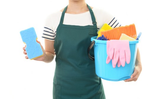 Submitting a carpet cleaning complaint with service details