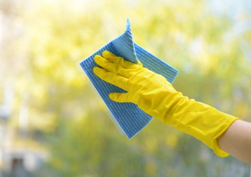 Professional steam carpet cleaning in Kilburn for fresh carpets